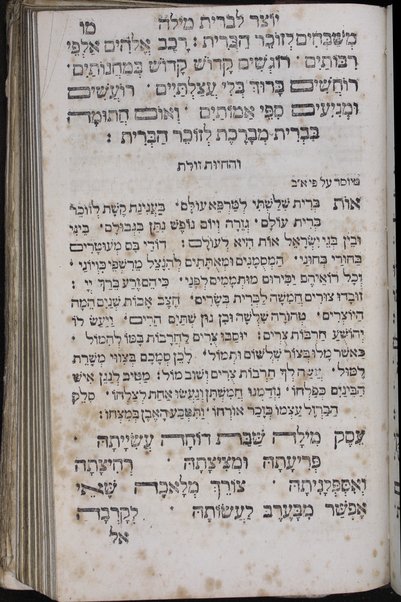 Seder tefilah : ke-minhag Ashkenaz u-Folin ... : ṿe-nosaf ... kol peraṭe dinim devar yom be-yomo ḥag be-ḥago ... : ha-parashiyot ʻim ha-neḳudot u-ṭeʻamim : tefilat Y.K. ḳaṭan ...