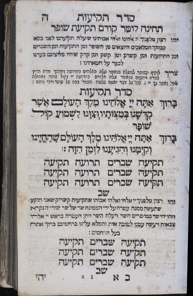 Seder tefilah : ke-minhag Ashkenaz u-Folin ... : ṿe-nosaf ... kol peraṭe dinim devar yom be-yomo ḥag be-ḥago ... : ha-parashiyot ʻim ha-neḳudot u-ṭeʻamim : tefilat Y.K. ḳaṭan ...