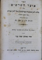 volumeEbraico/TO0306F01-0000352/6