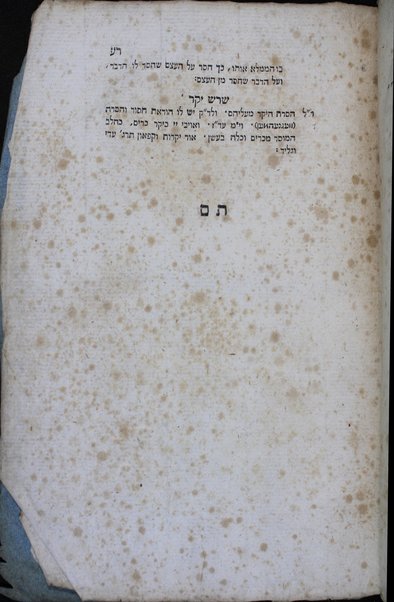 Otsar ha-shorashim : kolel shorshe ha-lashon ha-ʻIvrit, ṿe-haʻataḳatam me-ʻIvrit le-Ashkenazit ume-Ashkenazit le-ʻIvrit.