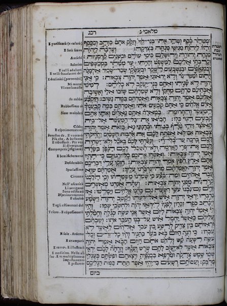 Arbaʻah ṿe-ʻeśrim ... perush ha-milot be-leshon Iṭa'lya'ni  ... nidpas ... Yitsḥaq Foa'