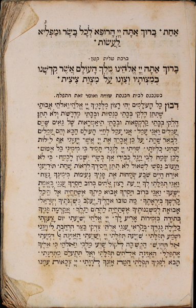 Seder tefilah ke-minhag ḳ. ḳ. Iṭalyani / nidpas ... Yosef Fintsi.