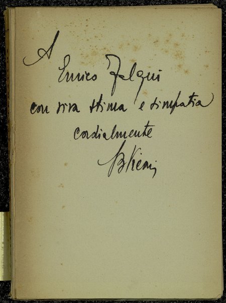 Sembra letteratura : pretesti di vita letteraria / Fuisti