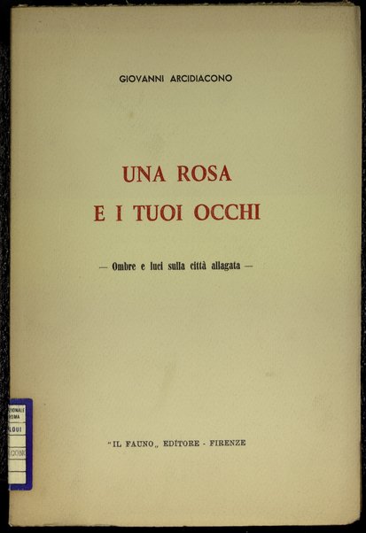 Una rosa e i tuoi occhi : ombre e luci sulla citta allagata